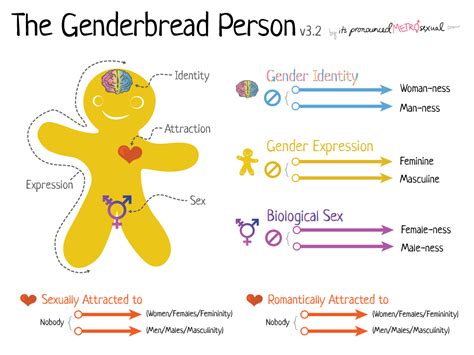 The Genderbread Person V3 Its Pronounced Metrosexual