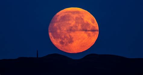 Full moon 2020, next full moon, with dates and times for all full moons and new moons in 2020. Full moon August 2019: What time will the Sturgeon full ...