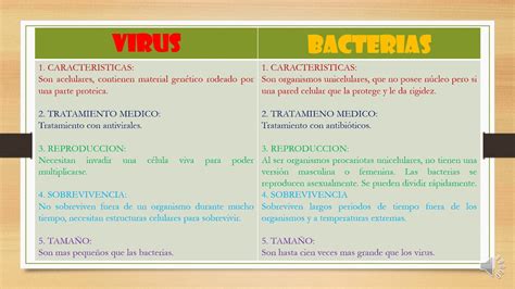 Diferencias Entre Virus Y Bacterias Cuadro Comparativo