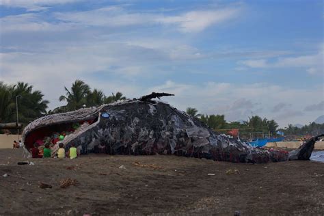 Dead Whale Of The Philippines Reminds Us That Ocean