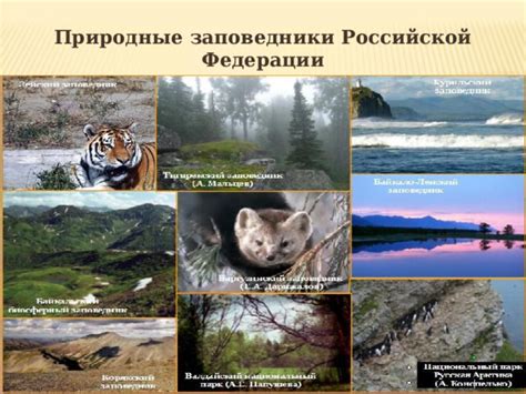 Природные заповедники России - география, презентации