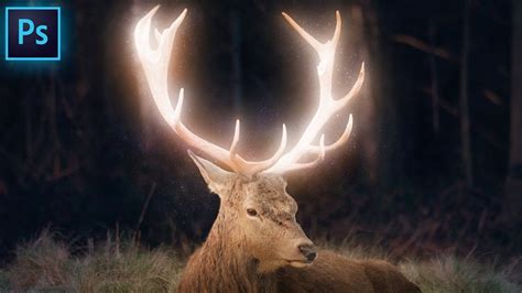 Glowing Deer Manipulation Photoshop 2021 Tutorial Youtube