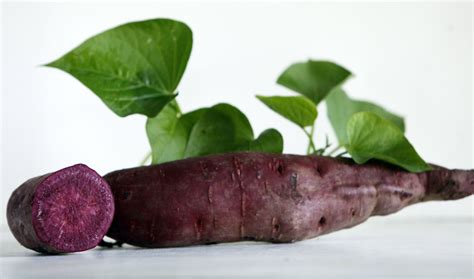 All Purple Sweet Potato
