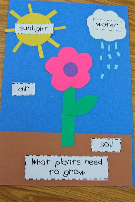 Then all that remains is to attach the string and away you go! Mrs. Lisa's Pre-K Crew Rocks!: Plants | Preschool ...
