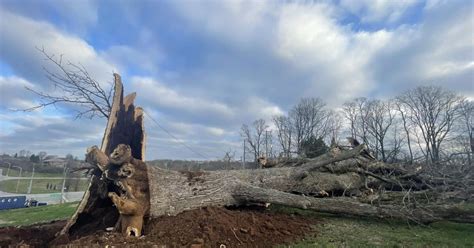 Severe Thunderstorms Cause Power Outages Across Central Kentuckysetting