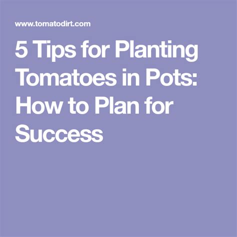 5 Tips For Planting Tomatoes In Pots How To Plan For Success Tomato