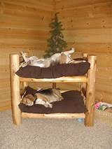 Images of Bunk Beds For Dogs
