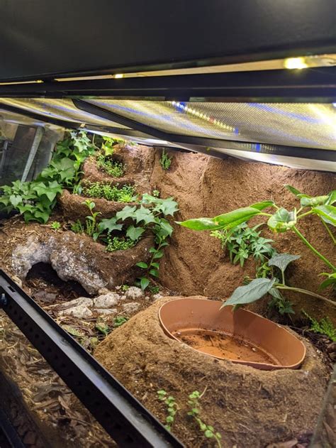 Ive Been Working On These Terrarium For My Snakes For The Last 2 Months