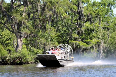 Photo Gallery Swamp Tours New Orleans