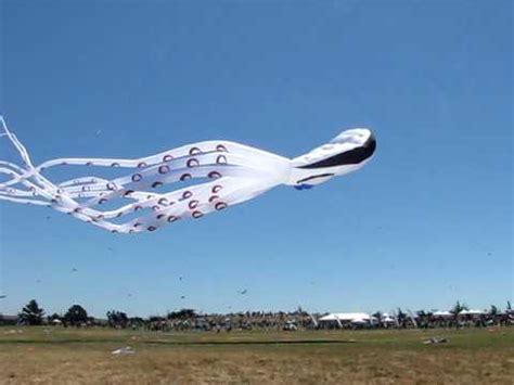 I am certainly not an expert in this field, so perhaps someone can find a larger example. Worlds Largest octopus kite - YouTube