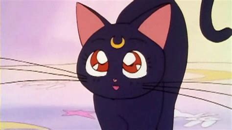 Top 7 Anime Cats Celebrating National Cat Day Sbs Popasia