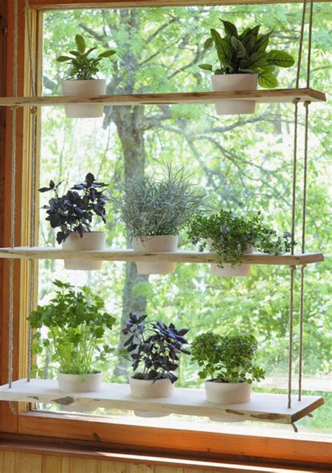 Hanging Indoor Herb Holder In The Window