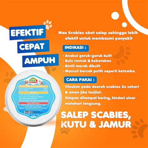 Jual Max Scabies Salep 10gr Obat Anti Jamur Kucing Di Seller Salanova