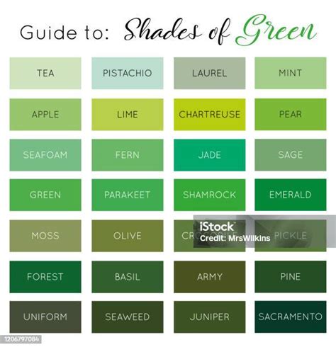 Guide To Shades Of Green Vector Stock Illustration Download Image Now