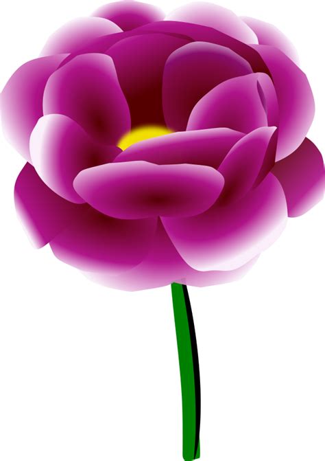 Peony Clipart Clipart Best