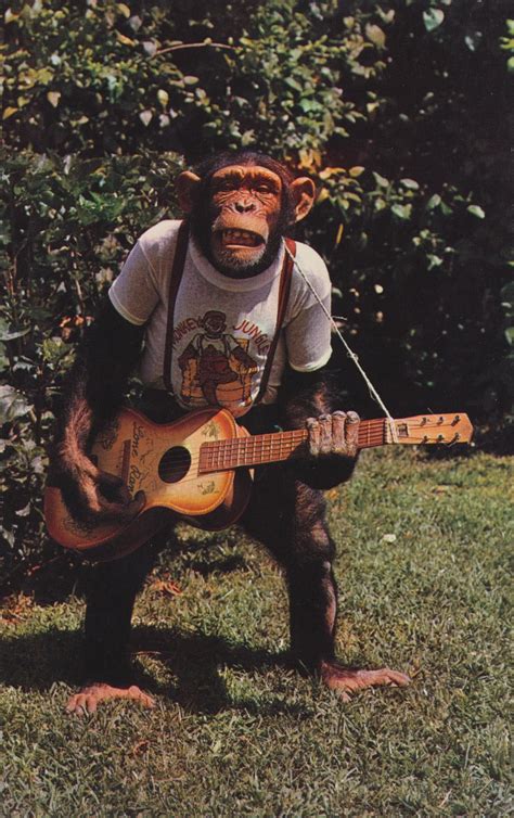 Heyhey Im A Monkey Monkey See Monkey Do Monkey Art Monkey