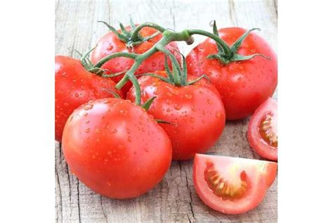 Beefsteak Tomato Super Marmande Semi Bush Garden Vegetable Seed Wowcher