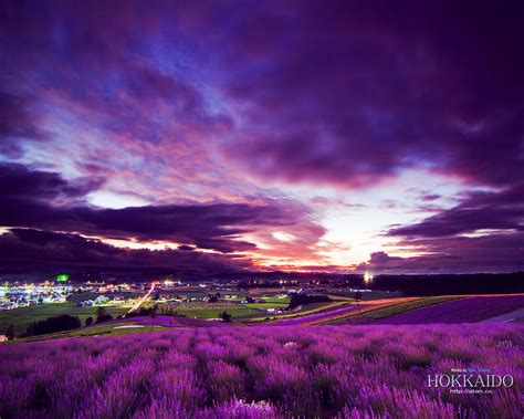The Color Purple Scenery Scenery Wallpaper Sky Landscape