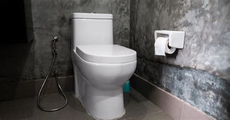 Kohler Vs American Standard Toilets 2023 Comparison