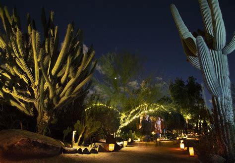 Desert Botanical Gardens Luminaria Nights Start Soon Heres How To