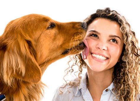 Is It Risky To Kiss Your Dog Petmd