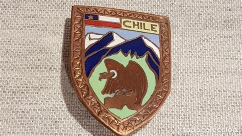 Antigua Insignia De Chile 25 X 35 Cm Buen Estado Insignias