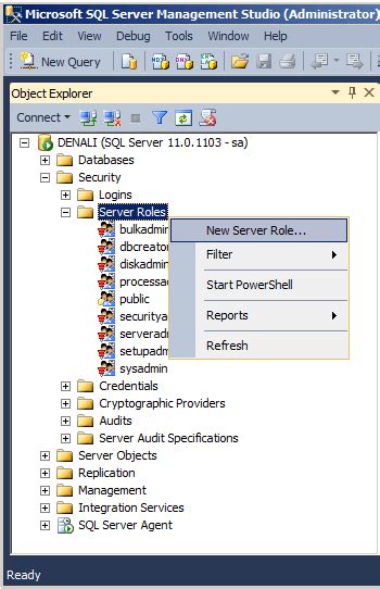 Creating A Sql Server User Defined Server Level Role Free Nude My XXX