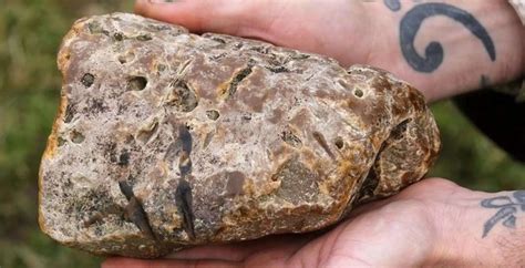 Ambergris Whale Vomit Worth Rs 4 Crore Seized