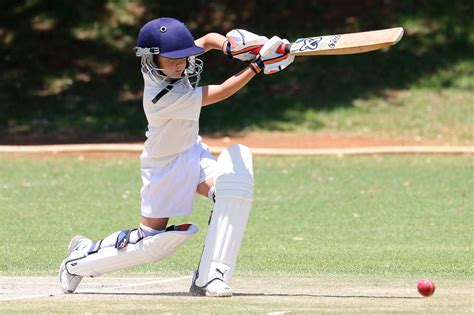 Boy In Full Cricket Gear · Free Stock Photo