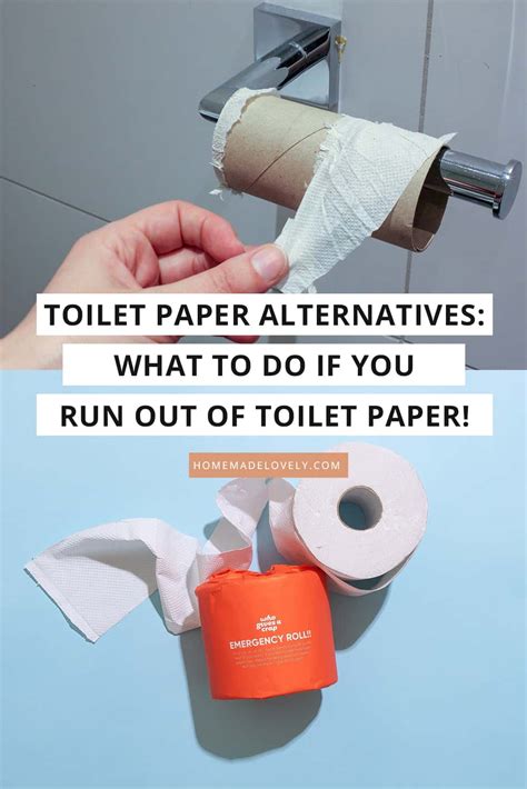 10 Toilet Paper Alternatives What To Do If You Run Out Of Toilet Paper