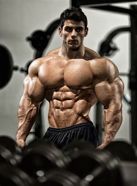 Muscle Morphs By Hardtrainer Muscle Men Muscular Men Bodybuilders Men