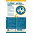 Safely Operating A Forklift  Infographic Industrial Refrigerated