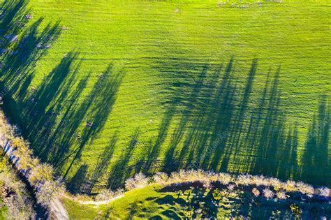 Farmland Aerial View Stock Image C0505268 Science Photo Library