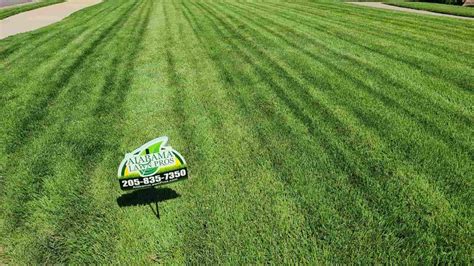 Expert Trussville Weed Control And Fertilization Alabama Lawn Pros Llc