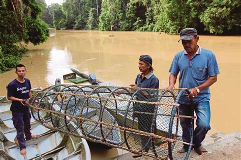 Cuba mengambil kesempatan daripada keadaan kesusahan, kekalutan orang lain demi kepentingan atau keuntungan diri sendiri. Rezeki air keruh | Harian Metro
