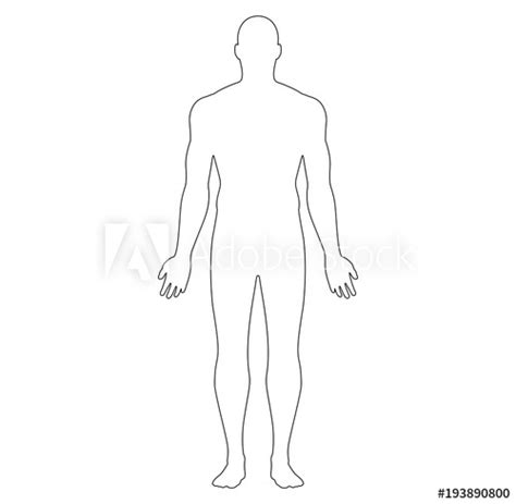 An image you can print out to practice identifying the anatomical planes; Anatomical Position Blank Human Body Diagram - Definitions in Anatomy and Physiology / Covers ...