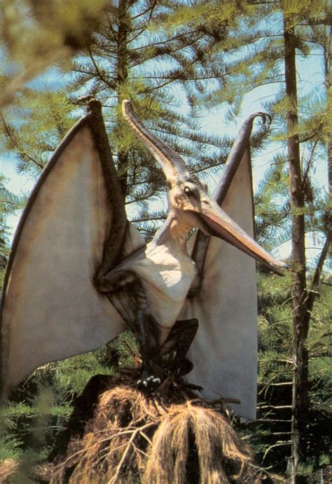 Messmore And Damon Pteranodon