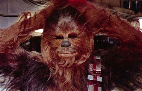 Chewbacca Star Wars Hairy ~ The Midult
