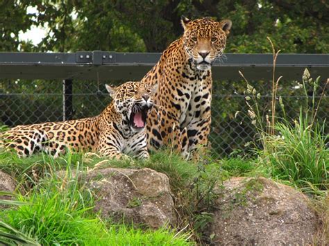 19 Best And Biggest Zoos In The World In 2021