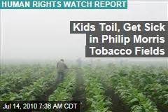 Philip morris izhora factory, an affiliate of philip morris international in russia, manufacturing cigarettes. child labor - News Stories About child labor - Page 1 | Newser