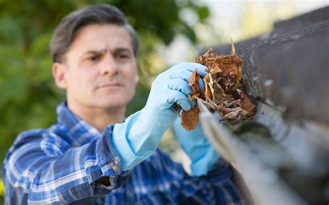 7 Home Maintenance Tasks Carolinas Best Home Inspections