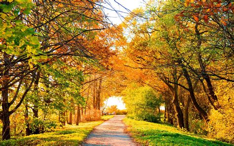 Lovely Autumn Landscape Wallpaper 1920x1200 30849