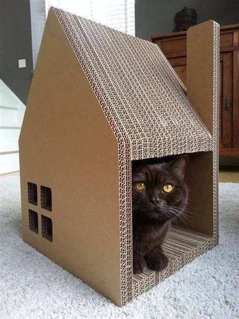 Hacer Casa Para Gatos Carton Un Hombre Hace Para Su Gato Un Castillo