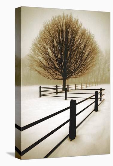 Solitude Stretched Canvas Print By David Winston