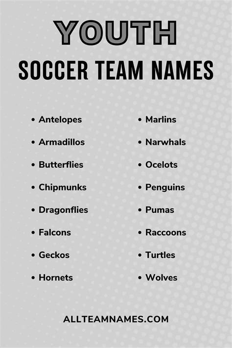161 Best Soccer Team Names For Kids And Adults