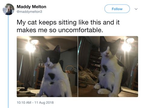 Cute Meme By Thepartypooper Memedroid
