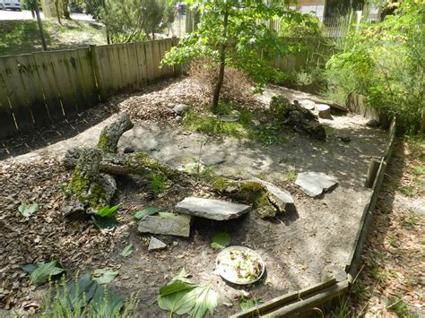 Tortoise Enclosure Zoochat