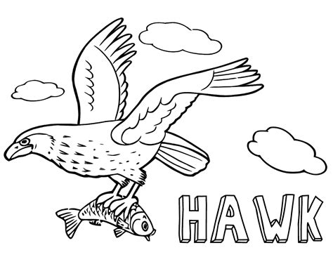 Hawk coloring pages | Coloring pages to download and print