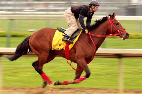 Travers Stakes Morning Works And Down The Stretch They Come