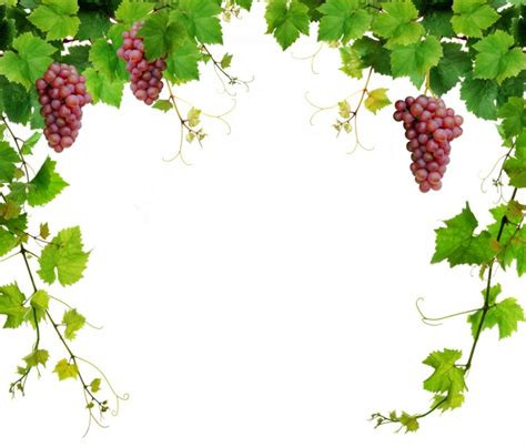 Download High Quality Wine Clipart Border Transparent Png Images Art